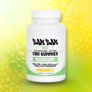 RECOVERY Gummies - CBD+CBG - Pineapple