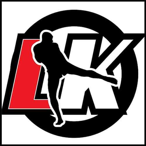 LowKick2